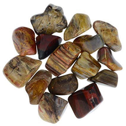 Petrified Wood