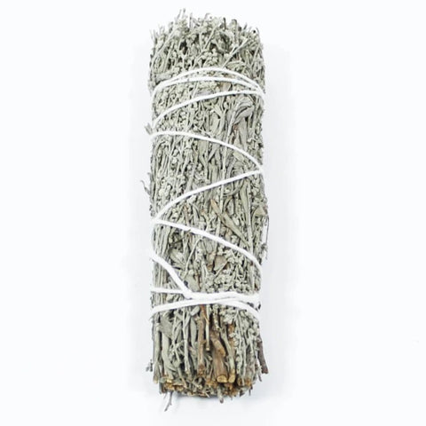 Desert Magic Sage
