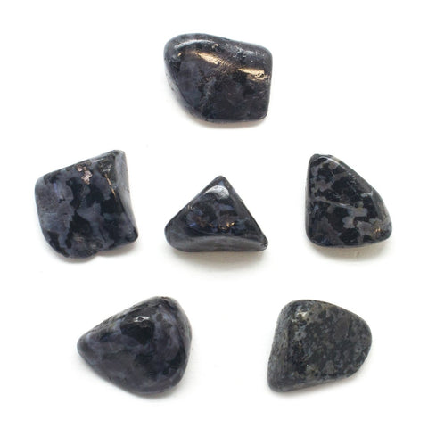 Indigo Gabbaro