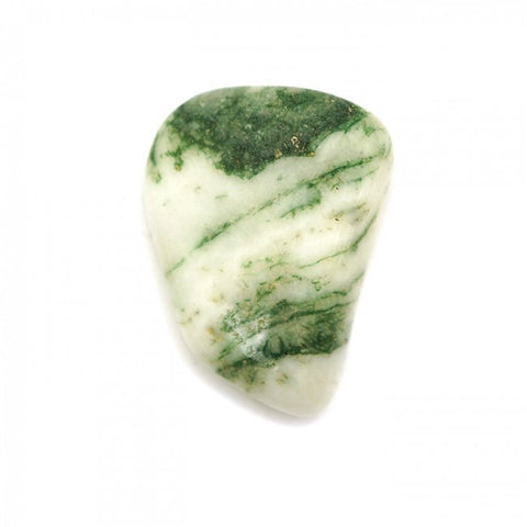 Tumbled Tree Agate
